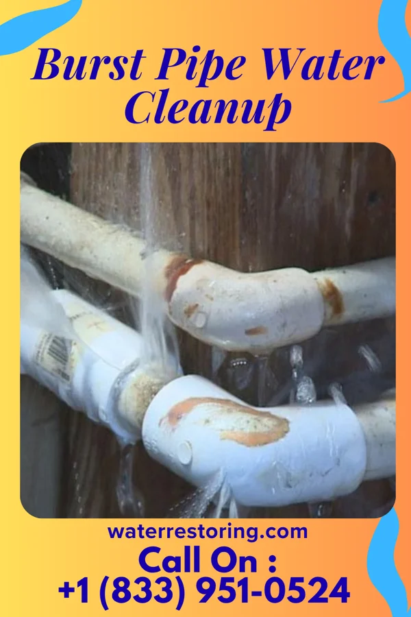 Burst Pipe Water Cleanup in Corry, PA