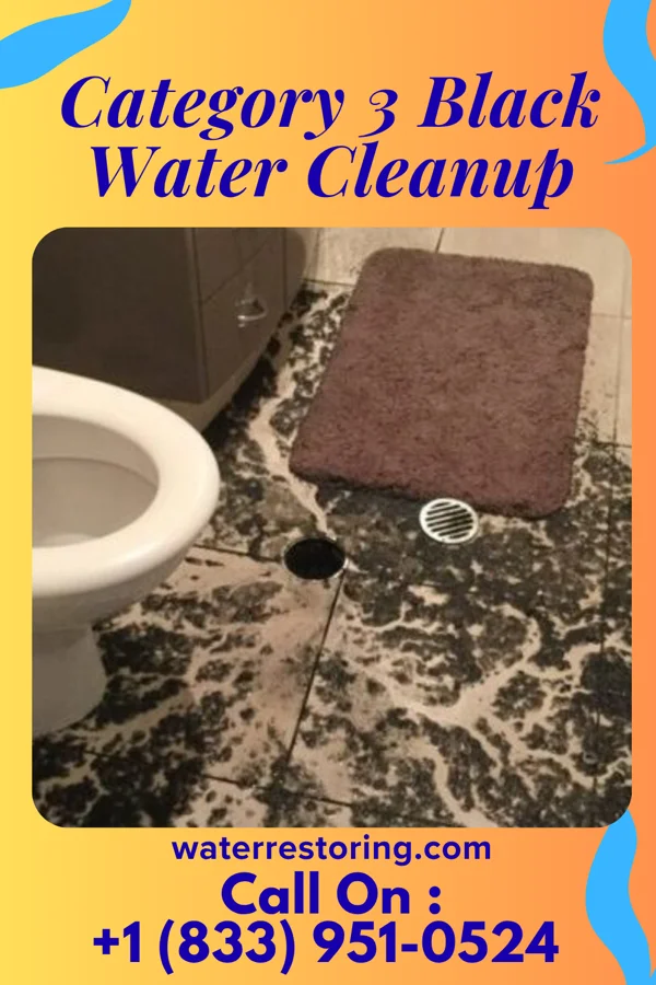 Category 3 Black Water Cleanup in Corry, PA