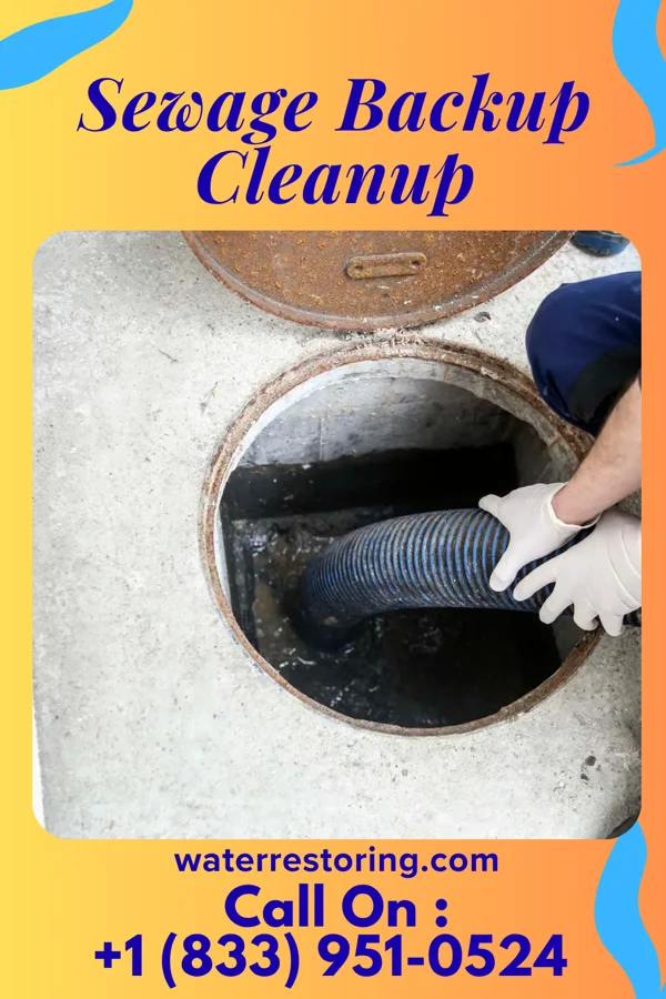 Sewage Backup Cleanup in Corry, PA