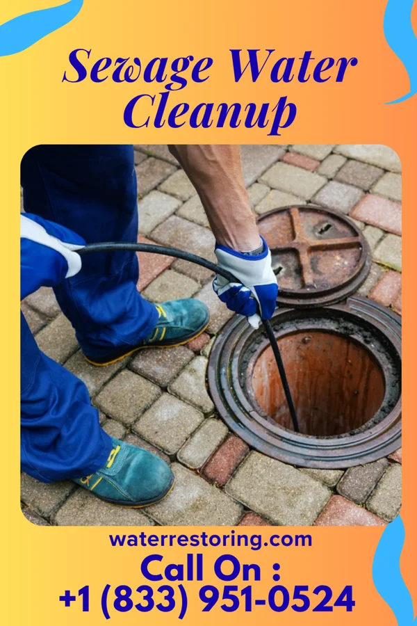Sewage Water Cleanup in Corry, PA