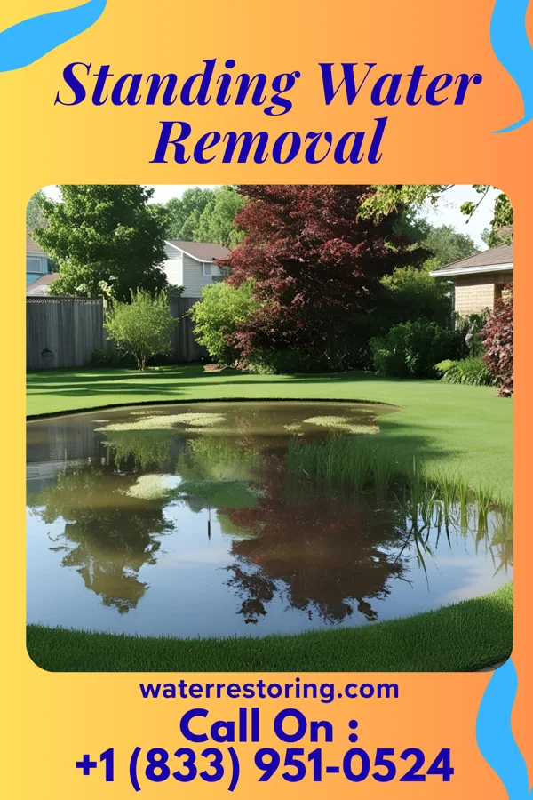 Standing Water Removal in Corry, PA